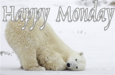 Miś polarny życzy szczęśliwego poniedziałku